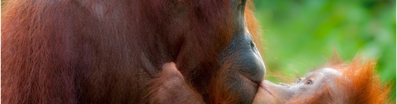 A tu per tu con la Natura